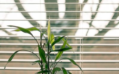 Ditch the String: 5 Benefits of Cordless Blinds