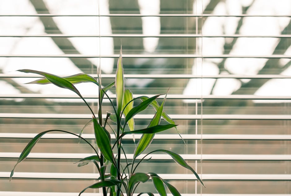5 Tips For Cleaning Blinds (And Keeping Them Clean!)